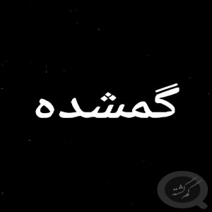کیف پول سیاه همراه مدارک بنام علی فاخر